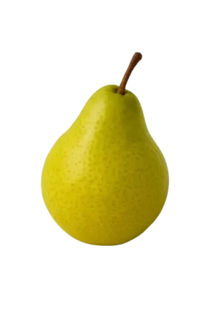 Peer
