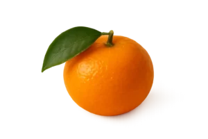 Sinaasappel