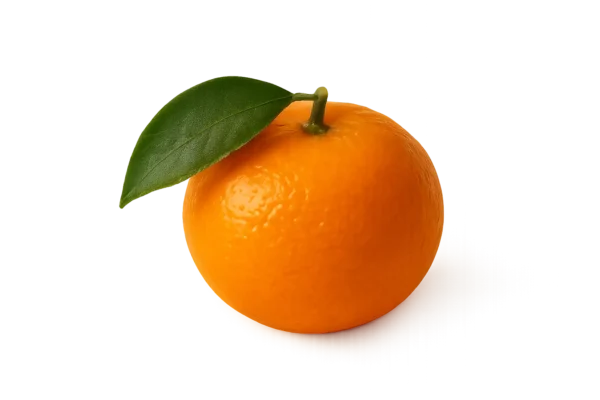 Sinaasappel